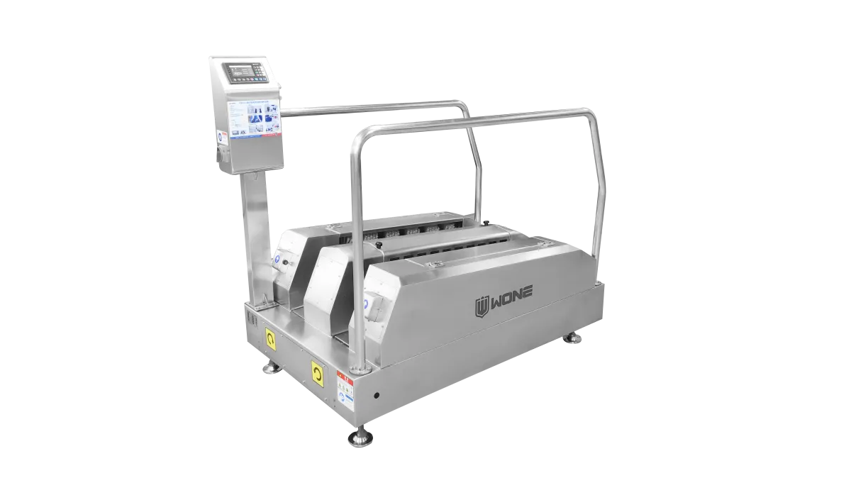 LAVADORA DE BOTAS PBW-61FE