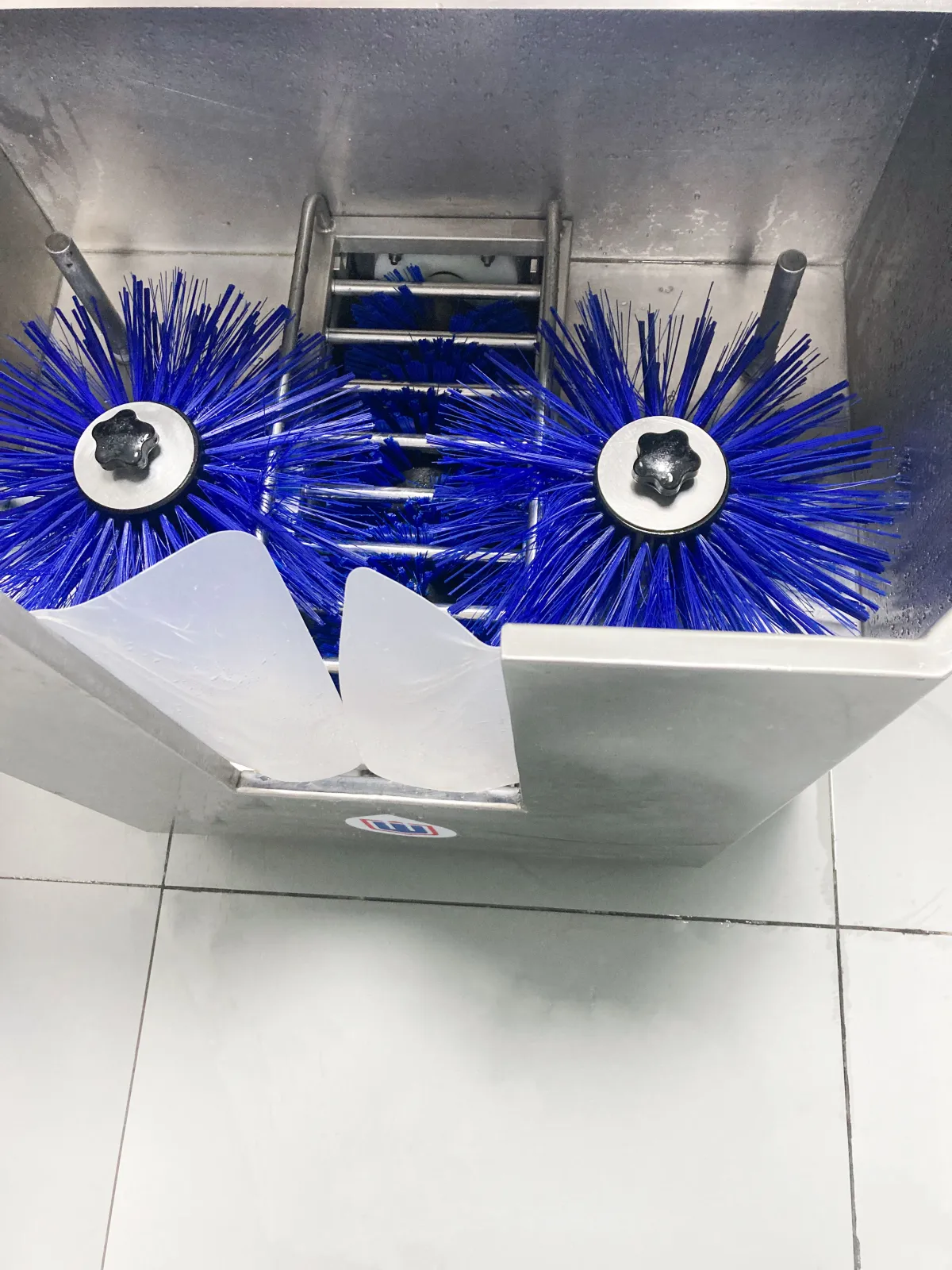 LAVADORA DE BOTAS PBW-31W - 4